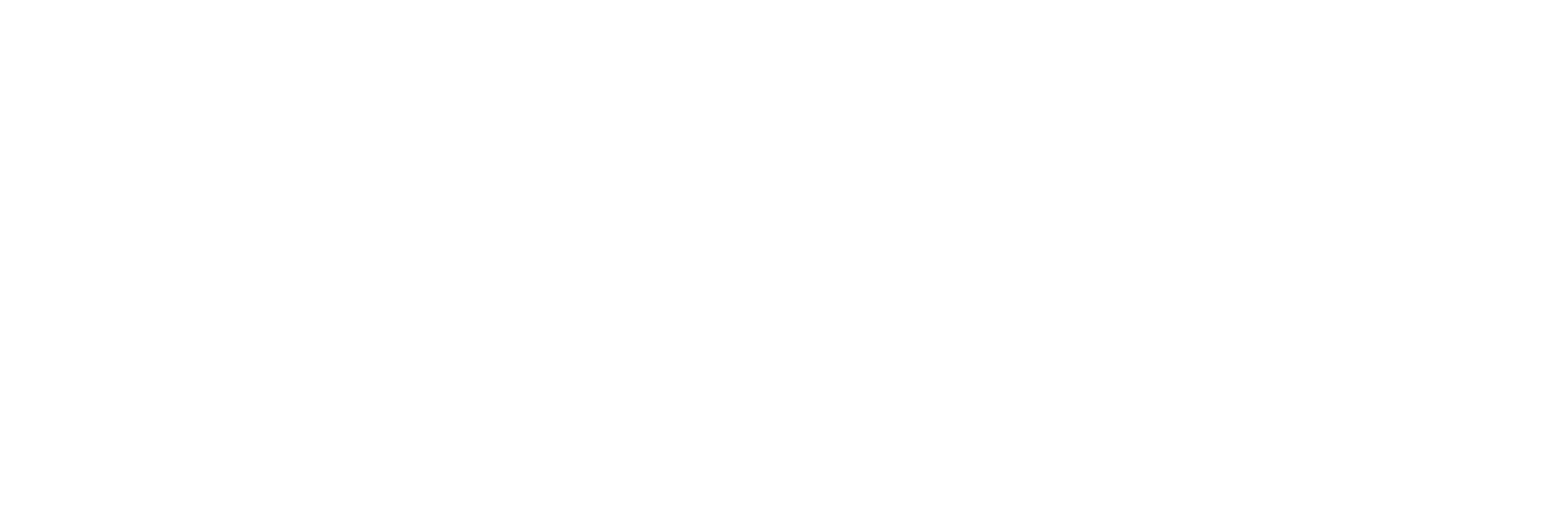 国盛集团